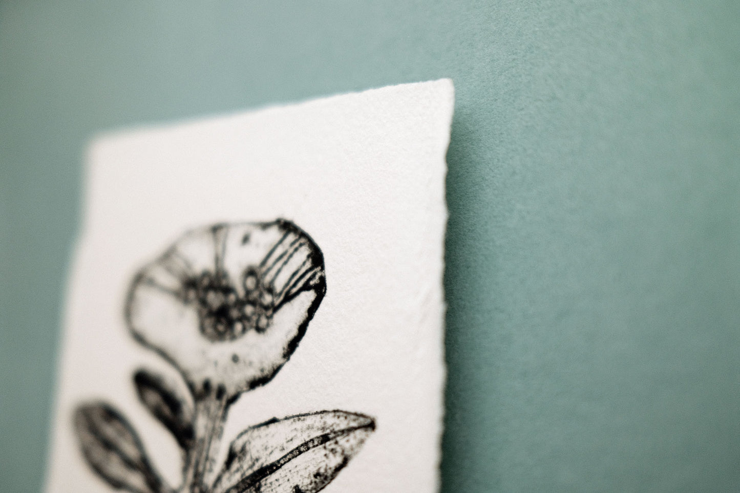 Svartvitt blomma i ram